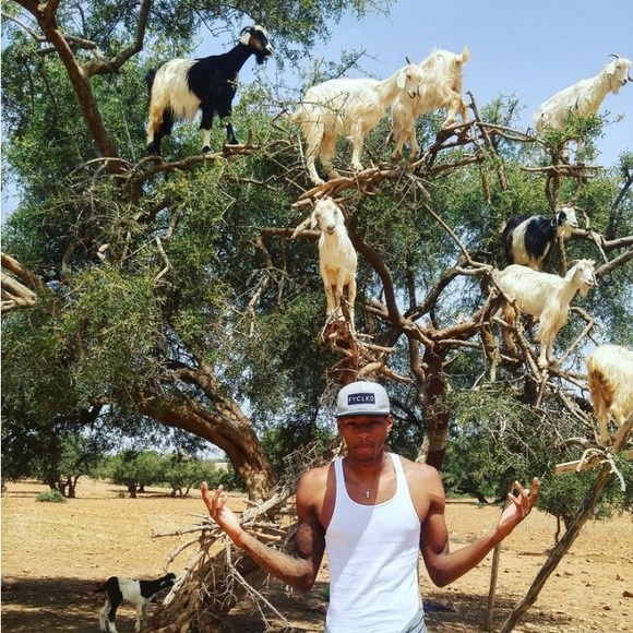 Armani Flash - Picture 2 of 6